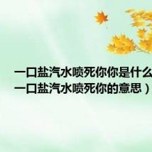 一口盐汽水喷死你你是什么意思（一口盐汽水喷死你的意思）