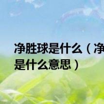 净胜球是什么（净胜球是什么意思）