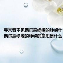 寻常看不见偶尔露峥嵘的峥嵘什么意思(偶尔露峥嵘的峥嵘的意思是什么)