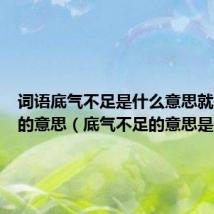 词语底气不足是什么意思就是词语的意思（底气不足的意思是什么）