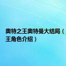 奥特之王奥特曼大结局(奥特之王角色介绍)
