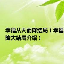 幸福从天而降结局(幸福从天而降大结局介绍)