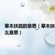 草木扶疏的意思(草木扶疏是什么意思)