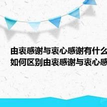 由衷感谢与衷心感谢有什么区别(如何区别由衷感谢与衷心感谢)