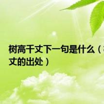 树高千丈下一句是什么(树高千丈的出处)