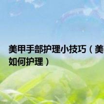美甲手部护理小技巧（美甲平时如何护理）