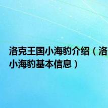 洛克王国小海豹介绍(洛克王国小海豹基本信息)