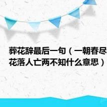 葬花辞最后一句(一朝春尽红颜老花落人亡两不知什么意思)