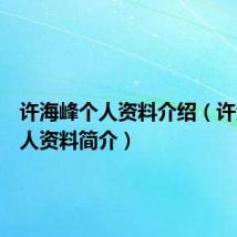 许海峰个人资料介绍(许海峰个人资料简介)