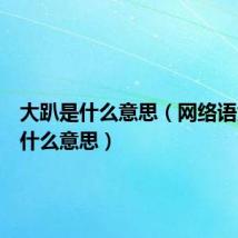 大趴是什么意思（网络语大趴是什么意思）