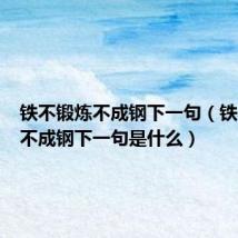 铁不锻炼不成钢下一句(铁不锻炼不成钢下一句是什么)