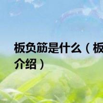 板负筋是什么（板负筋介绍）