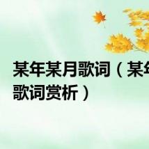 某年某月歌词（某年某月歌词赏析）