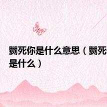 嬲死你是什么意思（嬲死你意思是什么）