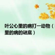 叶公心里的病打一动物(叶公心里的病的谜底)