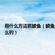 用什么方法抓鲮鱼(鲮鱼应该怎么钓)
