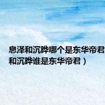 息泽和沉晔哪个是东华帝君(息泽和沉晔谁是东华帝君)