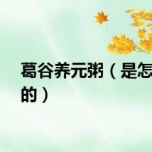 葛谷养元粥（是怎么做的）