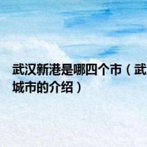 武汉新港是哪四个市（武汉新港城市的介绍）