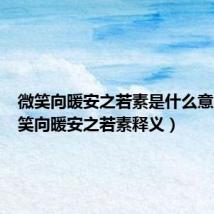 微笑向暖安之若素是什么意思(微笑向暖安之若素释义)