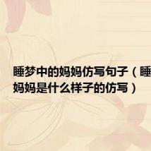 睡梦中的妈妈仿写句子(睡梦中的妈妈是什么样子的仿写)