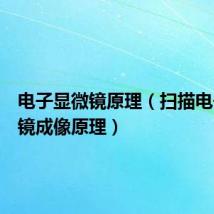 电子显微镜原理（扫描电子显微镜成像原理）