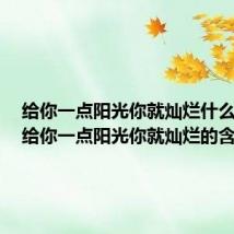 给你一点阳光你就灿烂什么意思（给你一点阳光你就灿烂的含义）