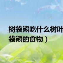 树袋熊吃什么树叶（树袋熊的食物）