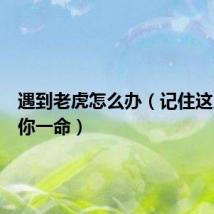 遇到老虎怎么办（记住这几点保你一命）