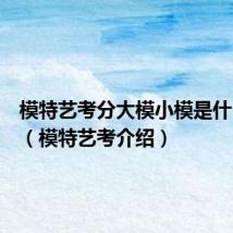 模特艺考分大模小模是什么意思(模特艺考介绍)