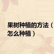 果树种植的方法（果树怎么种植）
