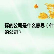 标的公司是什么意思（什么是标的公司）