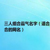 三人组合霸气名字(适合三人组合的网名)