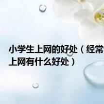 小学生上网的好处（经常让学生上网有什么好处）