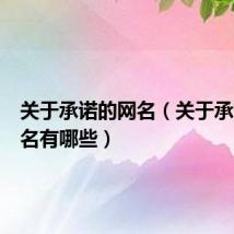 关于承诺的网名（关于承诺的网名有哪些）