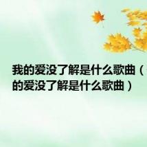 我的爱没了解是什么歌曲（歌词我的爱没了解是什么歌曲）