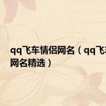 qq飞车情侣网名(qq飞车情侣网名精选)