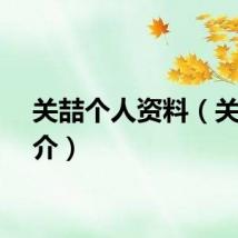 关喆个人资料（关喆简介）