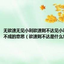 无欲速无见小利欲速则不达见小利则大事不成的意思（欲速则不达是什么意思）