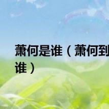 萧何是谁（萧何到底是谁）
