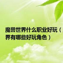 魔兽世界什么职业好玩（魔兽世界有哪些好玩角色）