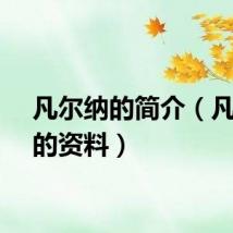 凡尔纳的简介（凡尔纳的资料）