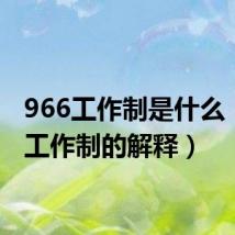 966工作制是什么（966工作制的解释）