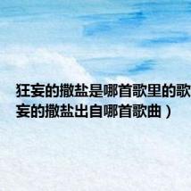 狂妄的撒盐是哪首歌里的歌词（狂妄的撒盐出自哪首歌曲）