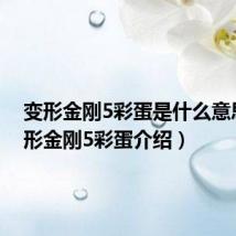 变形金刚5彩蛋是什么意思（变形金刚5彩蛋介绍）