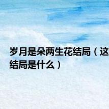 岁月是朵两生花结局(这部剧的结局是什么)