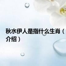 秋水伊人是指什么生肖(蛇生肖介绍)