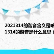 2021314的谐音含义是啥（2021314的谐音是什么意思）