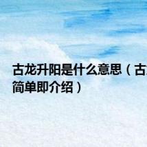 古龙升阳是什么意思（古龙升阳简单即介绍）