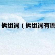 俩组词（俩组词有哪些）